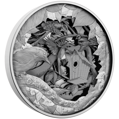 2022 Birds in Shadow Box Silver Coin | Royal Canadian Mint