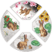 Set of 4 x 1 oz 2023 Year of the Rabbit Quadrant Colourized Proof Silver Coins | Perth Mint