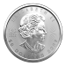 1 oz 2023 Canadian Maple Leaf Platinum Coin | Royal Canadian Mint