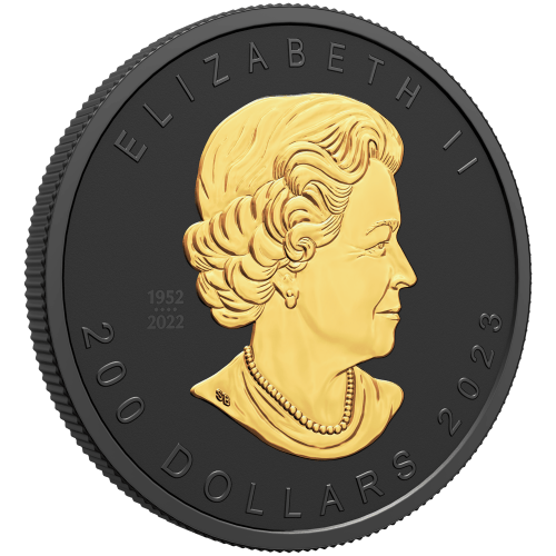 Pièce 2 once d'or Feuille d'érable super incuse 2023 | Monnaie royale canadienne