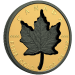 Pièce 2 once d'or Feuille d'érable super incuse 2023 | Monnaie royale canadienne