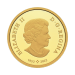 1/2 oz 2023 Tall Ships: Full-Rigged Ship Gold Coin | Royal Canadian Mint