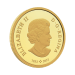 1/2 oz 2023 Tall Ships: Full-Rigged Ship Gold Coin | Royal Canadian Mint