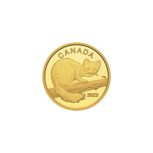 1/20 oz 2023 The Curious Marten Gold Coin | Royal Canadian Mint