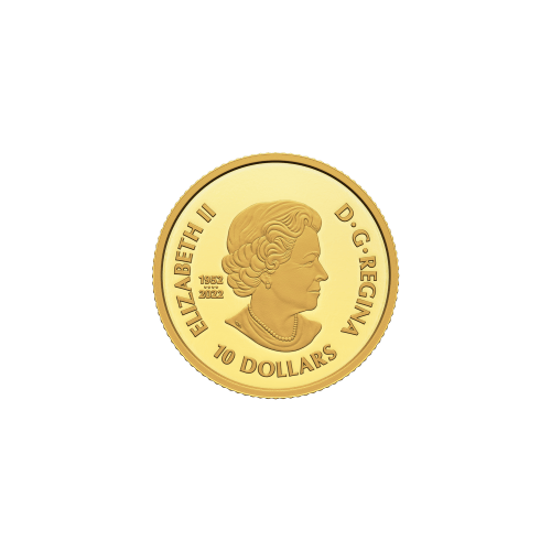1/20 oz 2023 The Curious Marten Gold Coin | Royal Canadian Mint