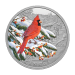 1 oz 2023 Colourful Birds: Northern Cardinal Silver Coin | Royal Canadian Mint