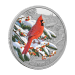 1 oz 2023 Colourful Birds: Northern Cardinal Silver Coin | Royal Canadian Mint