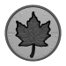 1 oz 2023 Super Incuse Maple Leaf Silver Coin | Royal Canadian Mint