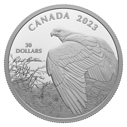 Pièce 2 onces d'argent Vantage Point - Bald Eagle de Robert Bateman 2023 | Monnaie royale canadienne