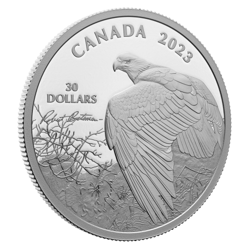 Pièce 2 onces d'argent Vantage Point - Bald Eagle de Robert Bateman 2023 | Monnaie royale canadienne