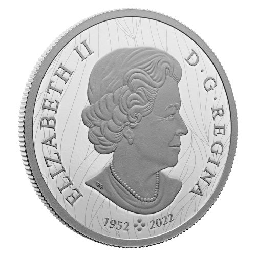 Pièce 2 onces d'argent Vantage Point - Bald Eagle de Robert Bateman 2023 | Monnaie royale canadienne