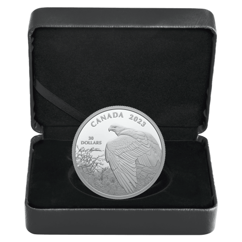 Pièce 2 onces d'argent Vantage Point - Bald Eagle de Robert Bateman 2023 | Monnaie royale canadienne