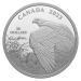 Pièce 2 onces d'argent Vantage Point - Bald Eagle de Robert Bateman 2023 | Monnaie royale canadienne
