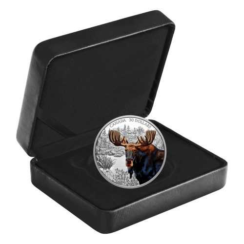 2 oz 2020 Imposing Icons Series: Moose Colourized Proof Silver Coin | Royal Canadian Mint