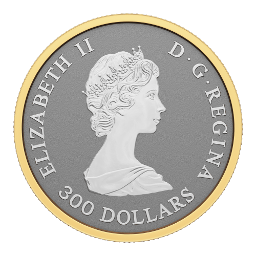 Pièce 1 once de platine épreuve numismatique inverse La richesse d'un symbole 2023 | Monnaie royale canadienne