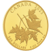 5 oz 2023 Beloved Maple Leaves Proof Gold Coin | Royal Canadian Mint