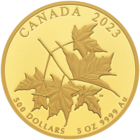 5 oz Gold Coins