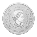 1 oz 2023 Tribute: Polar Bear W Mint Mark Silver Coin | Royal Canadian Mint