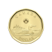 Set of 5 x 2023 Collector's Edition Special Coin Rolls | Royal Canadian Mint