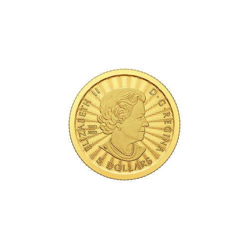 1/10 oz 2023 The Majestic Polar Bear & Cubs Gold Coin | Royal