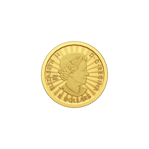 1/10 oz 2023 The Majestic Polar Bear and Cubs First Strike Gold Coin | Royal Canadian Mint