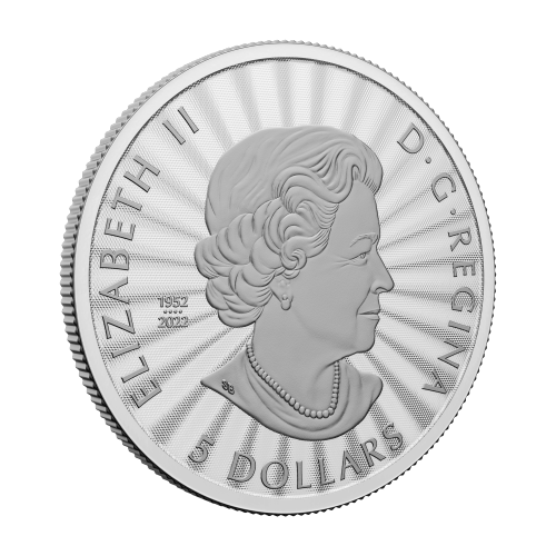 1 oz 2023 The Majestic Polar Bear and Cubs Silver Coin | Royal Canadian Mint