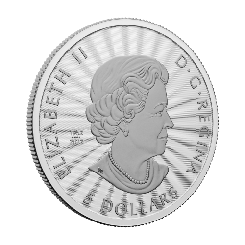 Pièce 1 once d'argent Premières pièces frappées La majestueuse ourse polaire et ses oursons 2023 | Monnaie royale canadienne