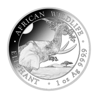 Somalian Silver Coins