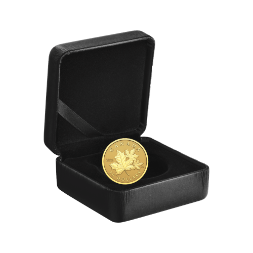 1/20 oz 2023 Everlasting Maple Leaf Gold Coin | Royal Canadian Mint