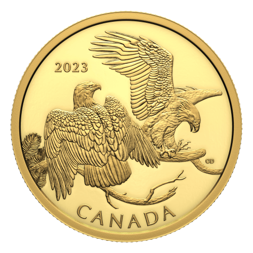 Pièce 1 once d'or L'admirable Pygargue à tête blanche 2023 | Monnaie royale canadienne