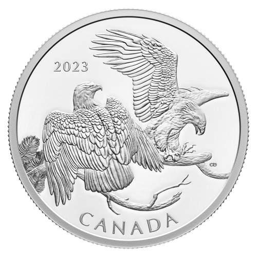 2 oz 2023 The Striking Bald Eagle Silver Coin | Royal Canadian Mint
