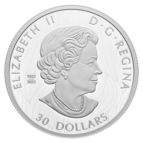 2 oz 2023 The Striking Bald Eagle Silver Coin | Royal Canadian Mint