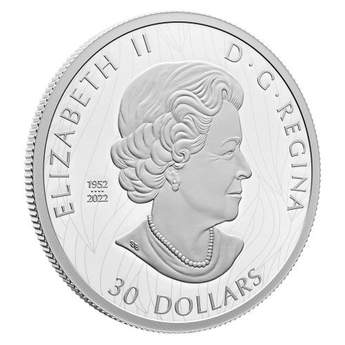 2 oz 2023 The Striking Bald Eagle Silver Coin | Royal Canadian Mint