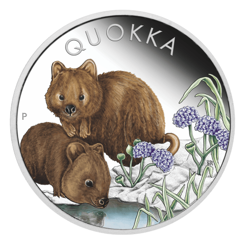 1 oz 2023 Australian Quokka Coloured Silver Coin | Perth Mint