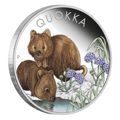 1 oz 2023 Australian Quokka Coloured Silver Coin | Perth Mint