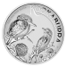 5 oz Australian Kookaburra Silver Incused Coin | Perth Mint
