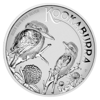 5 oz Silver Coins