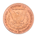 1 oz Morgan Dollar Copper Round