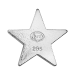 4 oz Silver Star | Yeager's Poured Silver