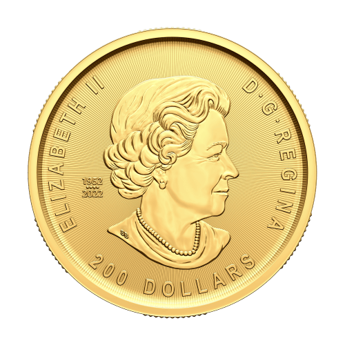 Pièce 1 once d'or 99999 La ruée vers l'or de Klondike 2023 | Monnaie royale canadienne
