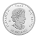 1 oz 2023 National Indigenous Peoples Day Silver Coin | Royal Canadian Mint