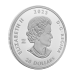 1 oz 2023 National Indigenous Peoples Day Silver Coin | Royal Canadian Mint