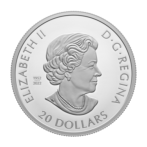 1 oz 2023 The Magic of the Season Silver Coin | Royal Canadian Mint