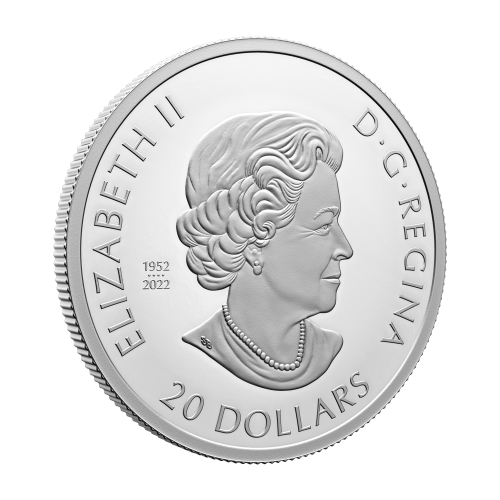 1 oz 2023 The Magic of the Season Silver Coin | Royal Canadian Mint