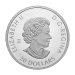 1 oz 2023 The Magic of the Season Silver Coin | Royal Canadian Mint