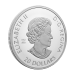 1 oz 2023 The Magic of the Season Silver Coin | Royal Canadian Mint