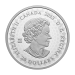 1 oz 2023 Great Hunters: Grizzly Bear Ultra High Relief Silver Coin | Royal Canadian Mint