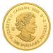 1 oz 2023 Great Hunters: Grizzly Bear Ultra High Relief Gold Coin | Royal Canadian Mint