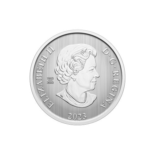 Pièce 50 centimes lenticulaire Luge de Noël 2023 | Monnaie royale canadienne