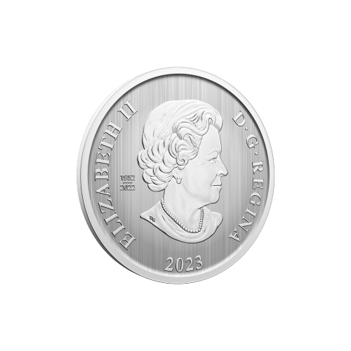 Pièce 50 centimes lenticulaire Luge de Noël 2023 | Monnaie royale canadienne